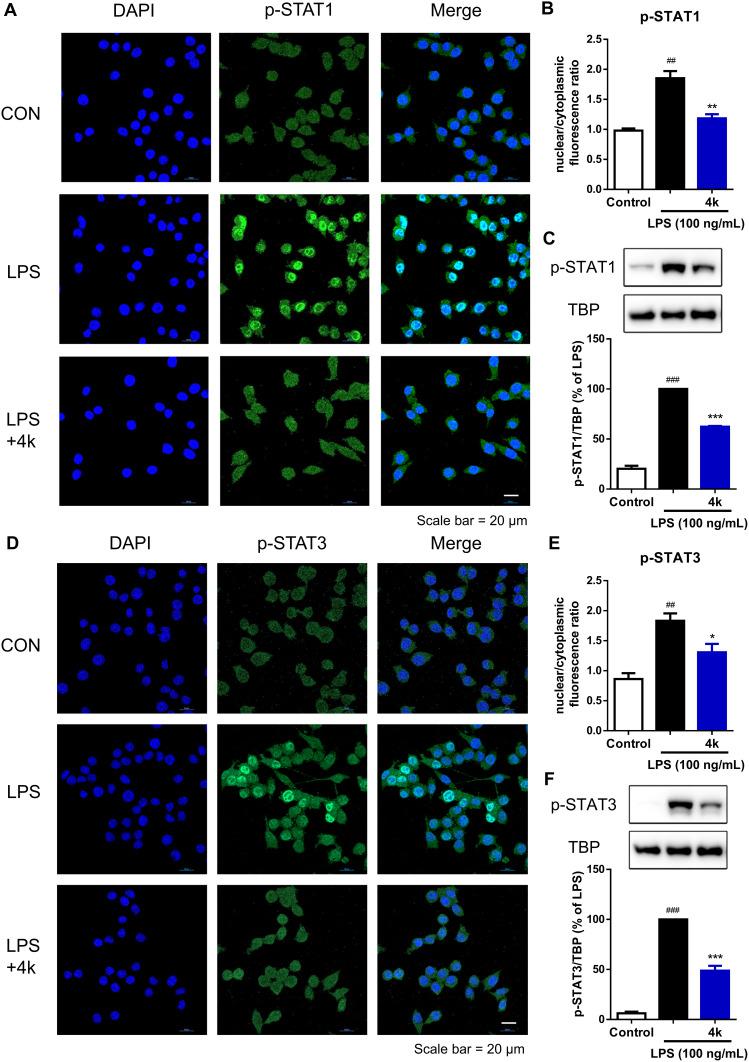 https://cdn.ncbi.nlm.nih.gov/pmc/blobs/e1af/12132072/5cab78e227de/DDDT-19-4567-g0006.jpg