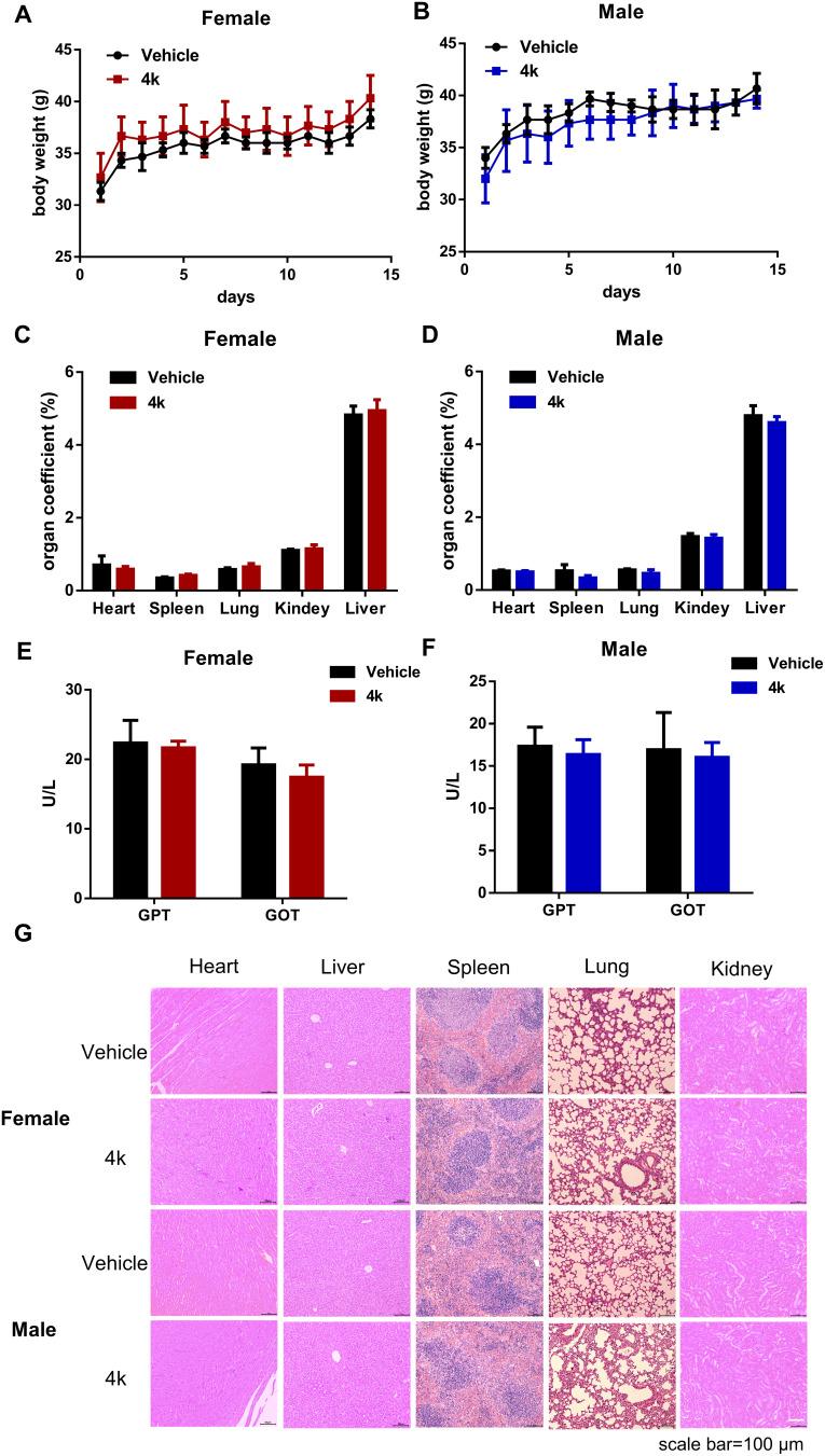 https://cdn.ncbi.nlm.nih.gov/pmc/blobs/e1af/12132072/b89ad8adf70b/DDDT-19-4567-g0007.jpg