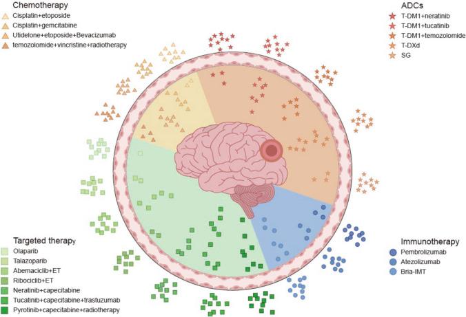 https://cdn.ncbi.nlm.nih.gov/pmc/blobs/e1b0/12145366/aeb10a4a7a61/12672_2025_2820_Fig1_HTML.jpg