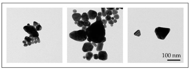 https://cdn.ncbi.nlm.nih.gov/pmc/blobs/e1b1/7476056/d85d104e5b9f/materials-13-03485-g007.jpg