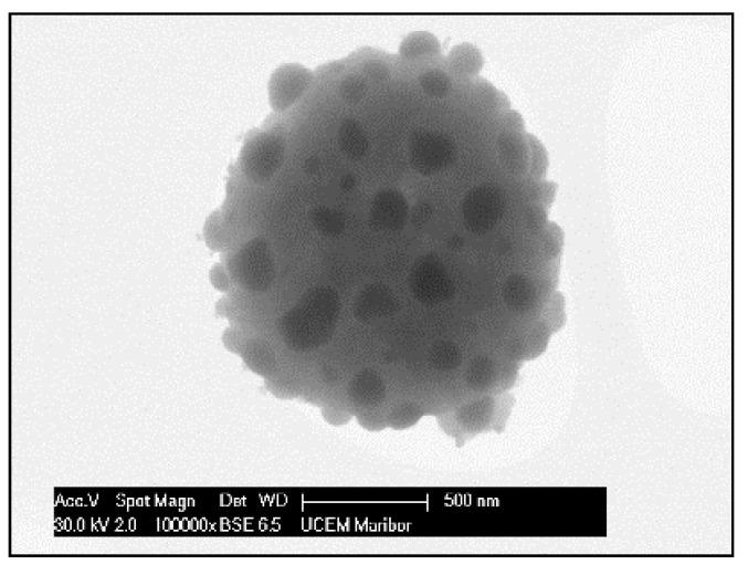 https://cdn.ncbi.nlm.nih.gov/pmc/blobs/e1b1/7476056/efce9d9af3ff/materials-13-03485-g019.jpg