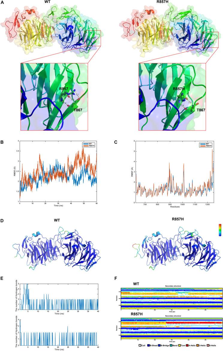 https://cdn.ncbi.nlm.nih.gov/pmc/blobs/e1b2/8292820/203fe7e91ae8/fgene-12-688241-g003.jpg