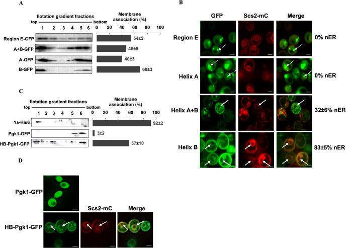 https://cdn.ncbi.nlm.nih.gov/pmc/blobs/e1b5/9473614/a7cac144fba3/ppat.1010752.g003.jpg