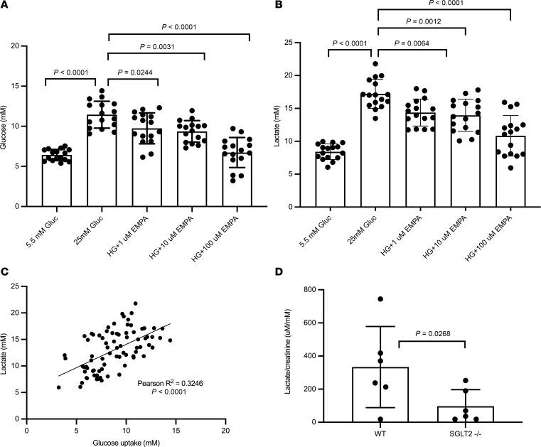 https://cdn.ncbi.nlm.nih.gov/pmc/blobs/e1b6/11382878/25b5656d393e/jciinsight-9-168825-g090.jpg