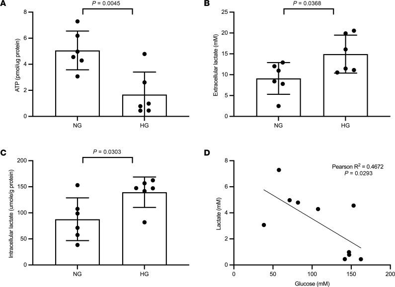 https://cdn.ncbi.nlm.nih.gov/pmc/blobs/e1b6/11382878/561ad4ebb147/jciinsight-9-168825-g093.jpg