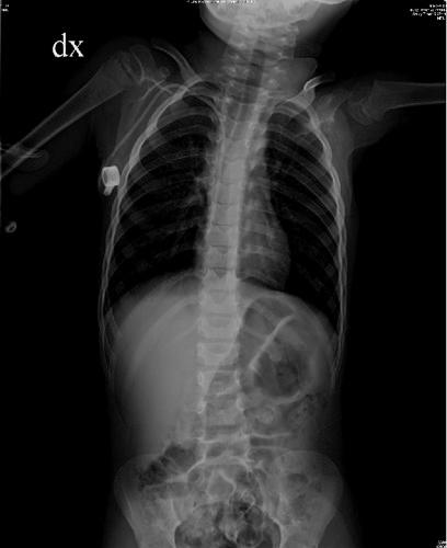 https://cdn.ncbi.nlm.nih.gov/pmc/blobs/e1b6/4227319/04500036c7dd/pr-2012-3-e32-g003.jpg