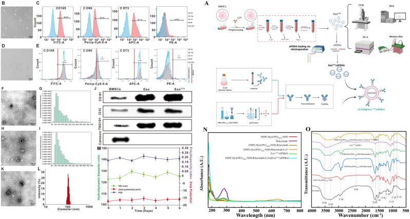 https://cdn.ncbi.nlm.nih.gov/pmc/blobs/e1b7/11247735/02d6e322a927/12943_2024_2057_Fig3_HTML.jpg