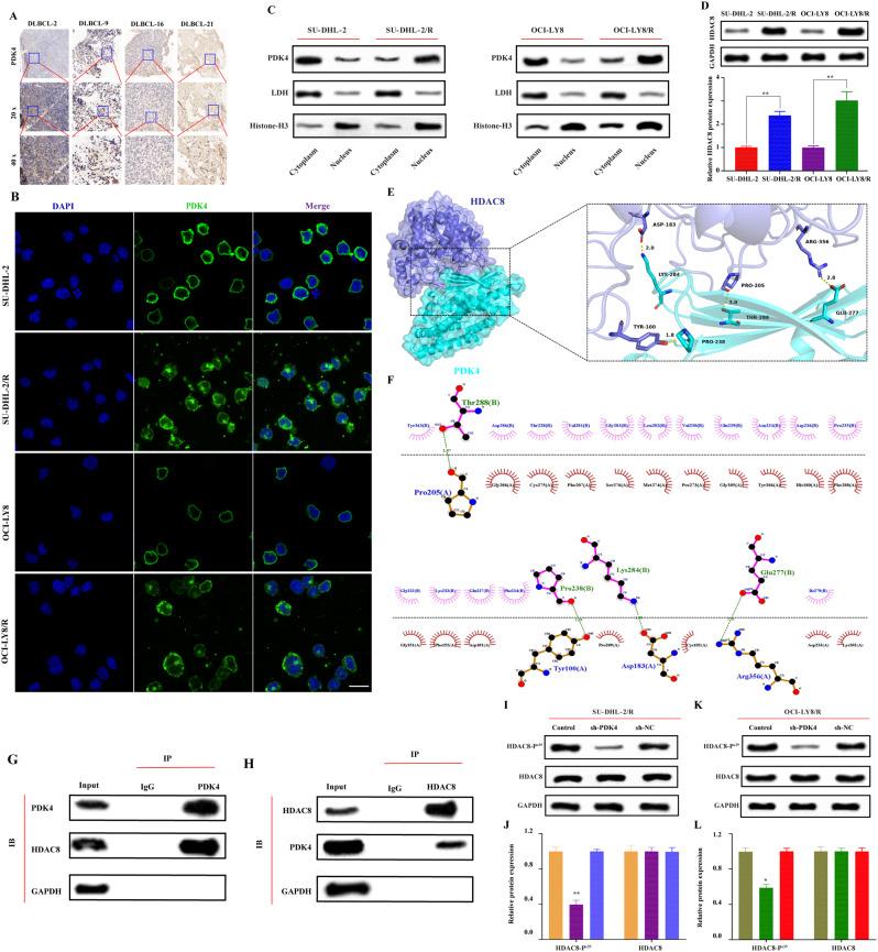 https://cdn.ncbi.nlm.nih.gov/pmc/blobs/e1b7/11247735/1a0b097b39ff/12943_2024_2057_Fig1_HTML.jpg