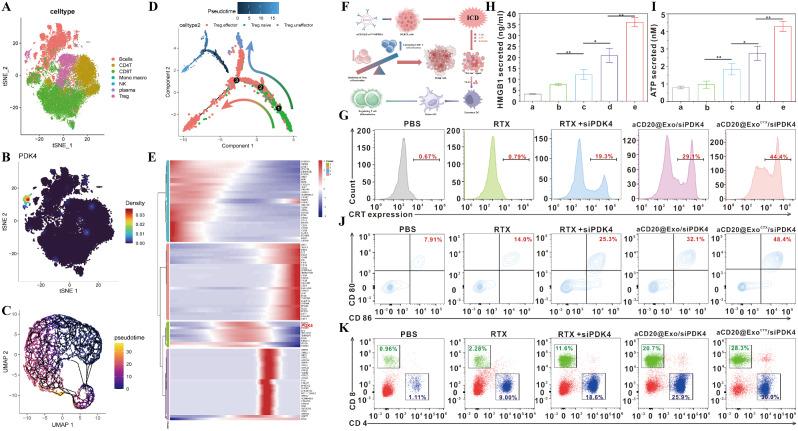 https://cdn.ncbi.nlm.nih.gov/pmc/blobs/e1b7/11247735/2d955436ffaf/12943_2024_2057_Fig6_HTML.jpg