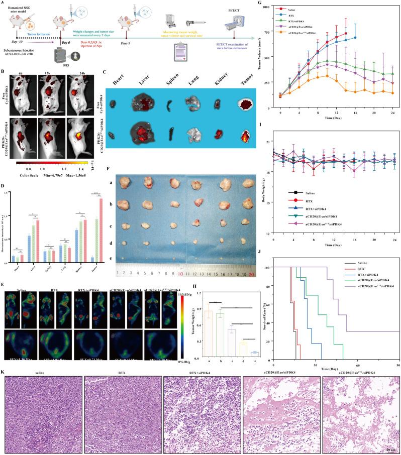 https://cdn.ncbi.nlm.nih.gov/pmc/blobs/e1b7/11247735/39c2cb03e293/12943_2024_2057_Fig7_HTML.jpg