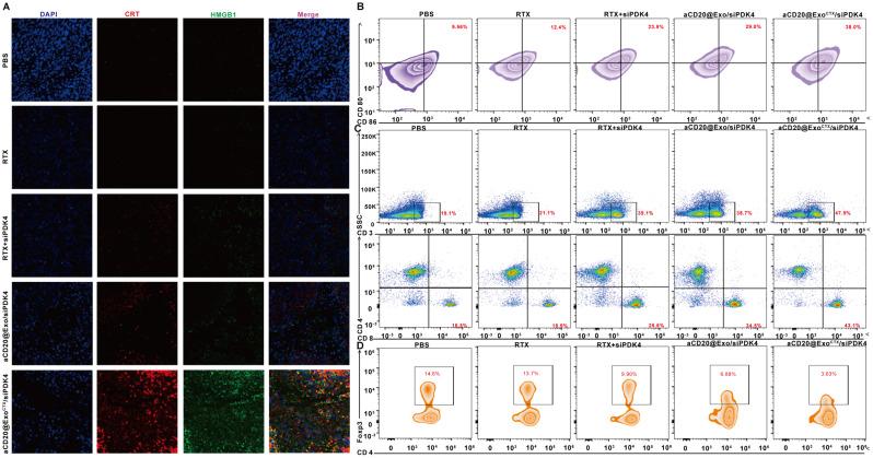 https://cdn.ncbi.nlm.nih.gov/pmc/blobs/e1b7/11247735/4bddb5ff6f6d/12943_2024_2057_Fig9_HTML.jpg
