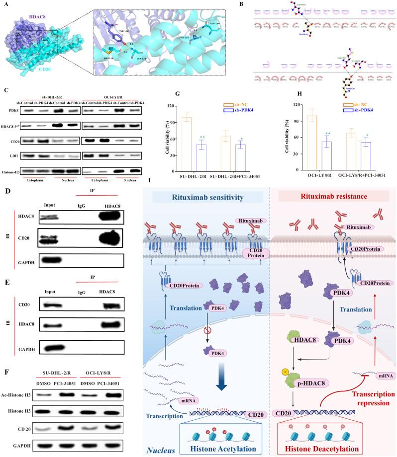 https://cdn.ncbi.nlm.nih.gov/pmc/blobs/e1b7/11247735/85eb2095b436/12943_2024_2057_Fig2_HTML.jpg