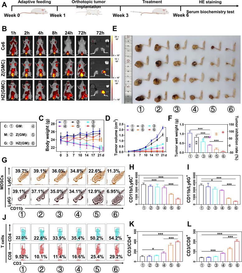 https://cdn.ncbi.nlm.nih.gov/pmc/blobs/e1b7/9063269/14b4c5fc7c7a/13046_2022_2372_Fig6_HTML.jpg