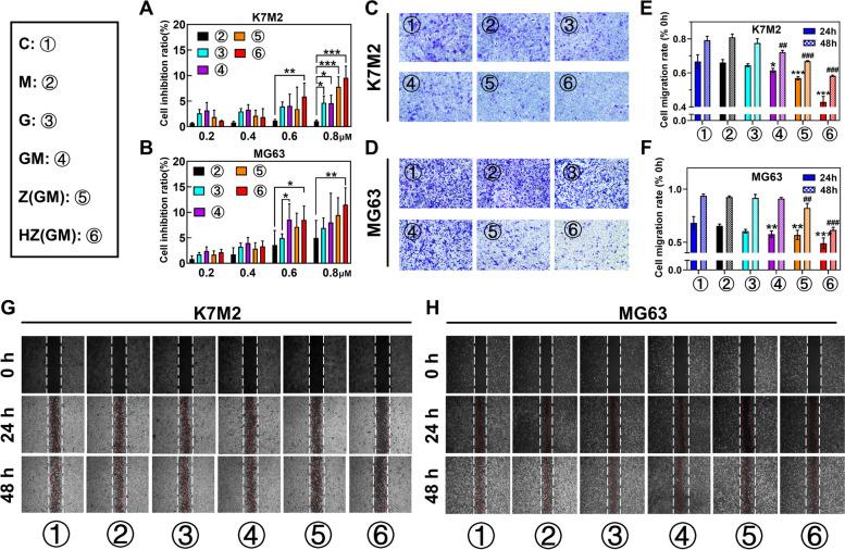 https://cdn.ncbi.nlm.nih.gov/pmc/blobs/e1b7/9063269/59e8cf8758af/13046_2022_2372_Fig4_HTML.jpg