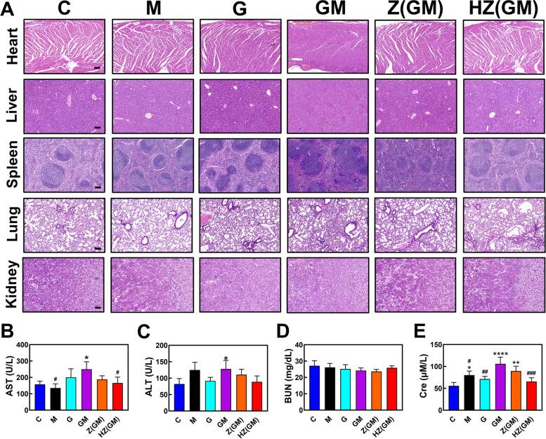 https://cdn.ncbi.nlm.nih.gov/pmc/blobs/e1b7/9063269/cd1a78dc86fb/13046_2022_2372_Fig7_HTML.jpg