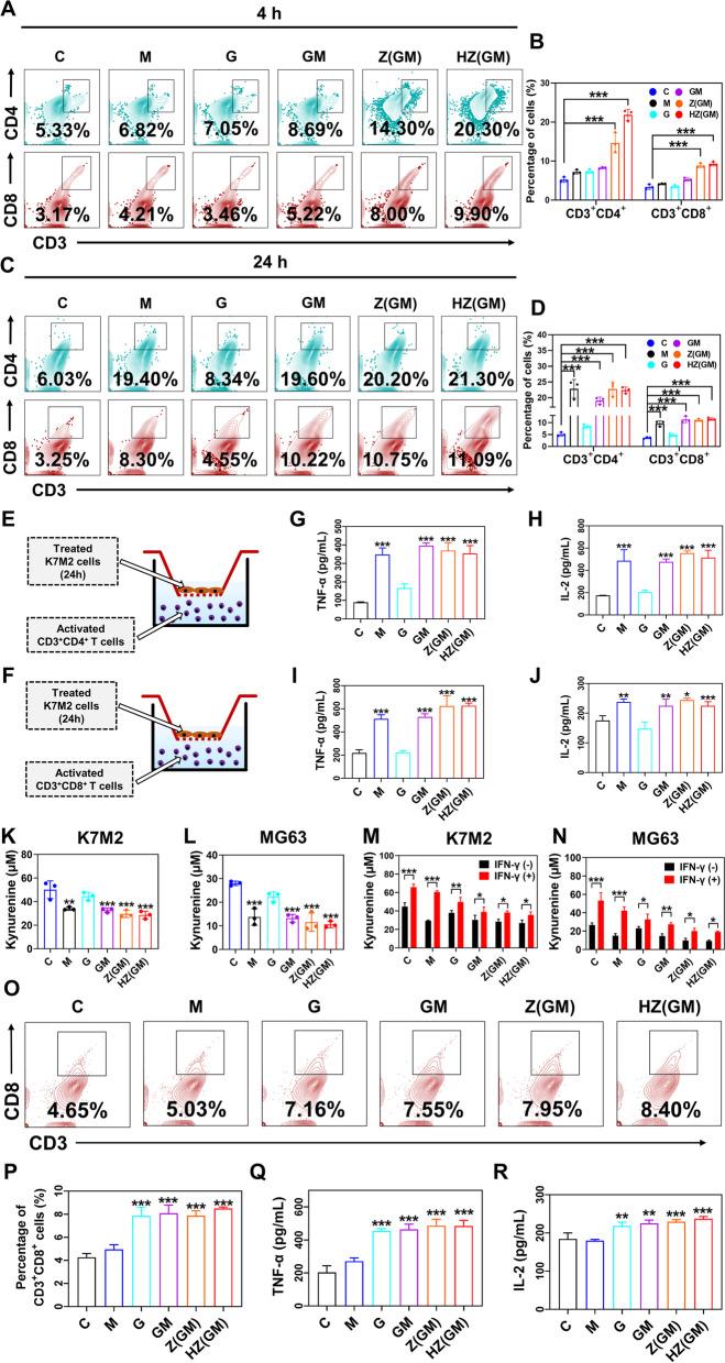https://cdn.ncbi.nlm.nih.gov/pmc/blobs/e1b7/9063269/f6fcbfdfbc1b/13046_2022_2372_Fig5_HTML.jpg