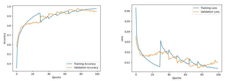https://cdn.ncbi.nlm.nih.gov/pmc/blobs/e1b8/9600128/5be321e56911/diagnostics-12-02316-g007.jpg