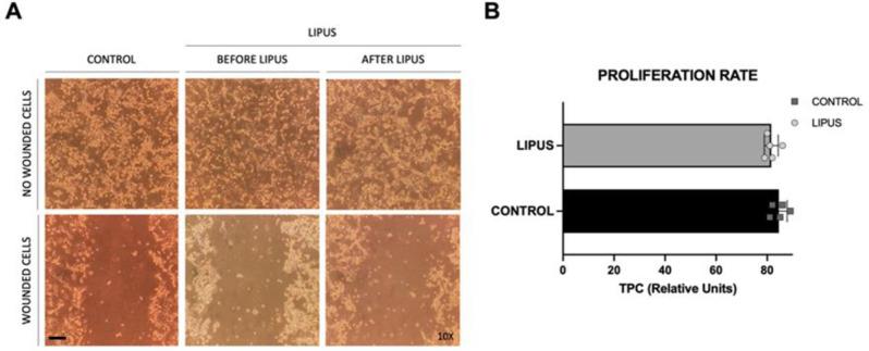 https://cdn.ncbi.nlm.nih.gov/pmc/blobs/e1bb/12166576/782f4b7d4131/12935_2025_3854_Fig2_HTML.jpg