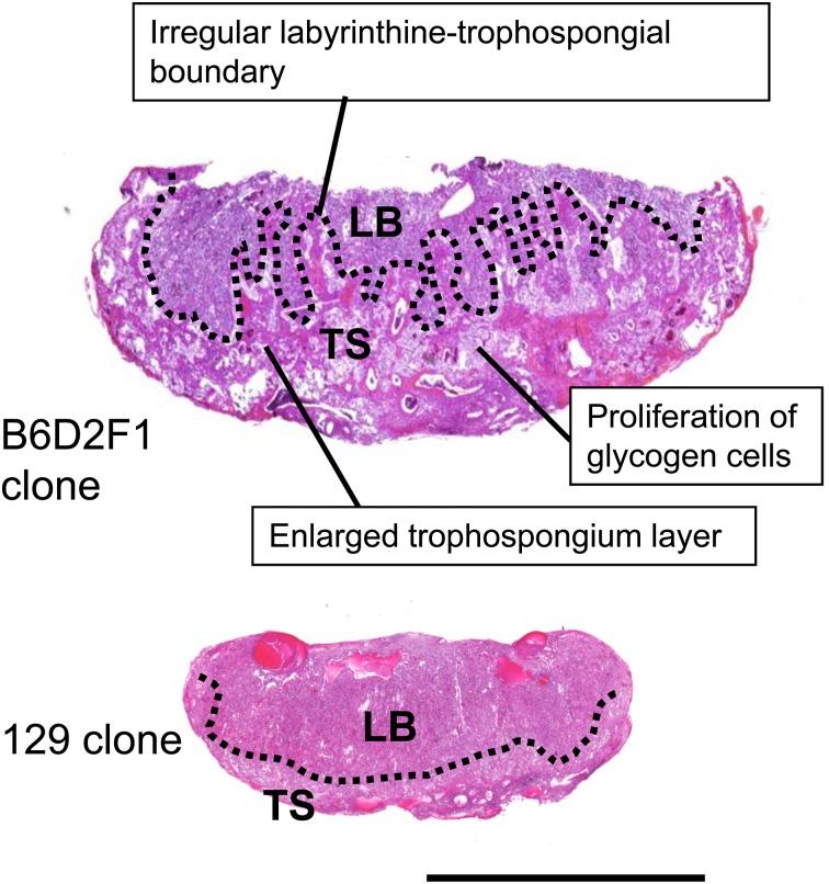 https://cdn.ncbi.nlm.nih.gov/pmc/blobs/e1bb/4685213/56cf45679ad5/jrd-61-489-g003.jpg