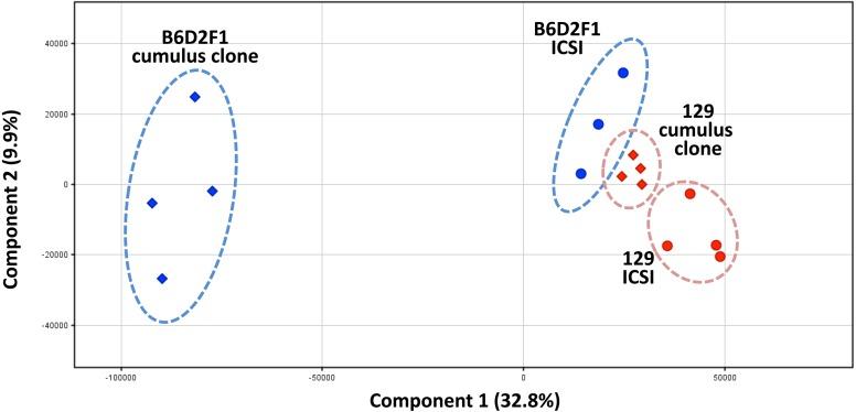 https://cdn.ncbi.nlm.nih.gov/pmc/blobs/e1bb/4685213/8205435b9da1/jrd-61-489-g002.jpg