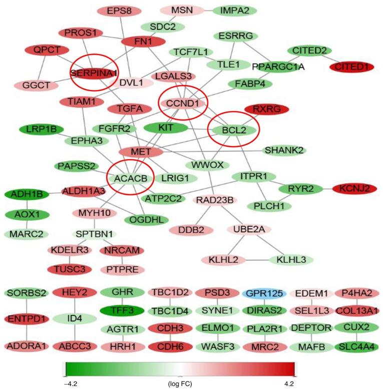 https://cdn.ncbi.nlm.nih.gov/pmc/blobs/e1bb/6924100/4c0360583160/ol-19-01-0195-g05.jpg