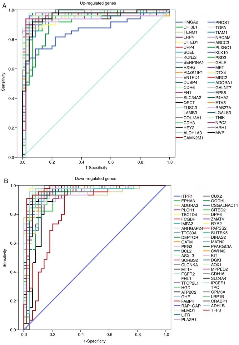 https://cdn.ncbi.nlm.nih.gov/pmc/blobs/e1bb/6924100/cbd5e66a8db4/ol-19-01-0195-g06.jpg