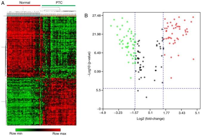 https://cdn.ncbi.nlm.nih.gov/pmc/blobs/e1bb/6924100/d286a7136d77/ol-19-01-0195-g01.jpg