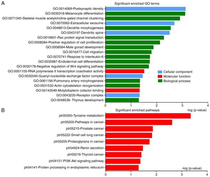 https://cdn.ncbi.nlm.nih.gov/pmc/blobs/e1bb/6924100/d909246f4131/ol-19-01-0195-g02.jpg