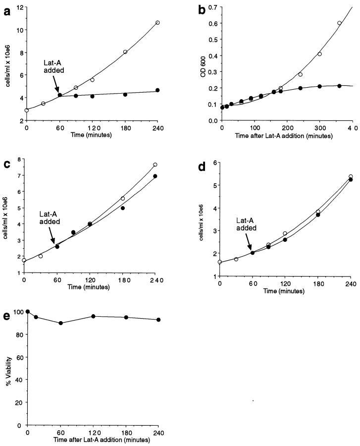 https://cdn.ncbi.nlm.nih.gov/pmc/blobs/e1bc/2139767/7d2c4b334a29/JCB.ayscough6.jpg