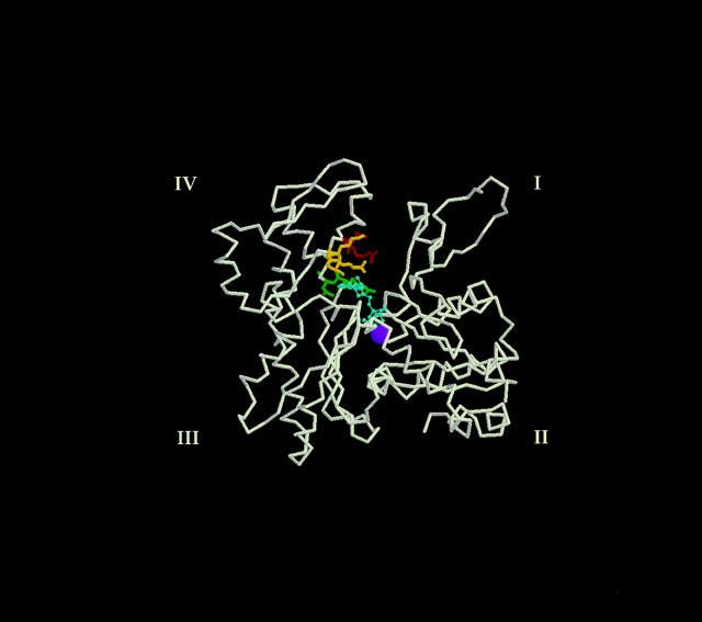 https://cdn.ncbi.nlm.nih.gov/pmc/blobs/e1bc/2139767/bf95e481e24c/JCB.ayscough3.jpg
