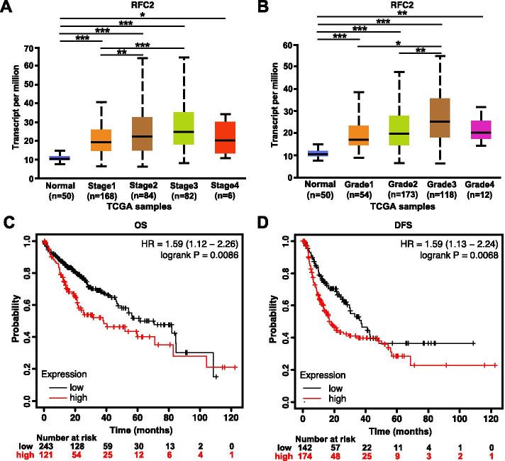 https://cdn.ncbi.nlm.nih.gov/pmc/blobs/e1bd/8141224/e80c41b7fe72/41065_2021_179_Fig3_HTML.jpg