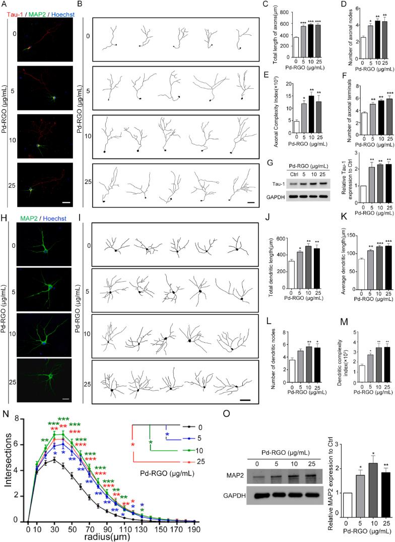https://cdn.ncbi.nlm.nih.gov/pmc/blobs/e1bf/11364903/0448ac488b17/gr4.jpg