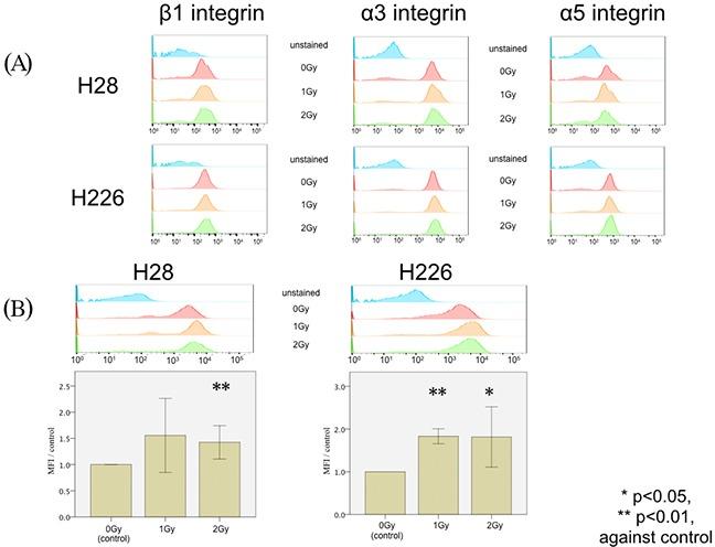 https://cdn.ncbi.nlm.nih.gov/pmc/blobs/e1bf/5620231/6d198e85a163/oncotarget-08-68001-g003.jpg