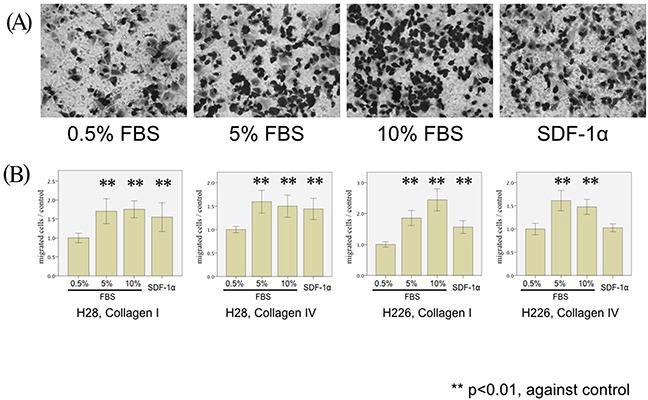 https://cdn.ncbi.nlm.nih.gov/pmc/blobs/e1bf/5620231/8587456e8a88/oncotarget-08-68001-g001.jpg
