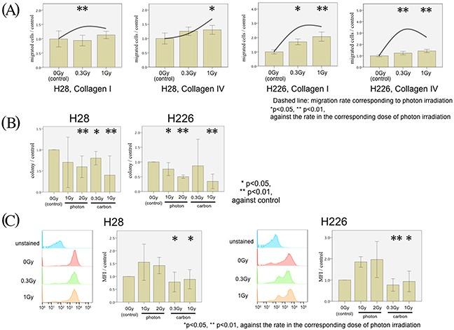 https://cdn.ncbi.nlm.nih.gov/pmc/blobs/e1bf/5620231/eccbaa7a78d8/oncotarget-08-68001-g005.jpg