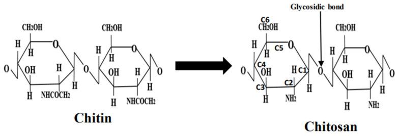 https://cdn.ncbi.nlm.nih.gov/pmc/blobs/e1c1/10140956/95ab27217191/nanomaterials-13-01302-g001.jpg