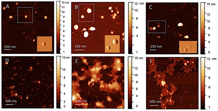 https://cdn.ncbi.nlm.nih.gov/pmc/blobs/e1c1/10296137/51da8acdbed1/biomolecules-13-00924-g002.jpg