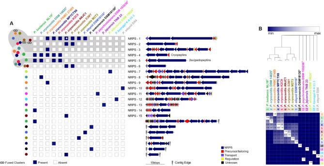 https://cdn.ncbi.nlm.nih.gov/pmc/blobs/e1c2/12181424/247052f50097/41598_2025_3955_Fig2_HTML.jpg