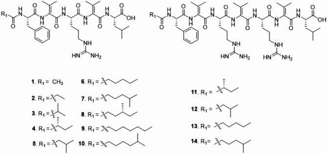 https://cdn.ncbi.nlm.nih.gov/pmc/blobs/e1c2/12181424/6e70fd8c2342/41598_2025_3955_Fig4_HTML.jpg