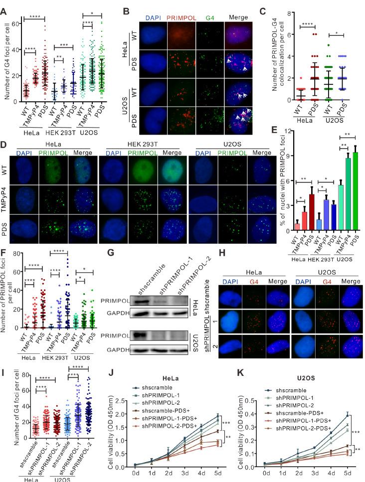 https://cdn.ncbi.nlm.nih.gov/pmc/blobs/e1c3/10160237/c85507eea874/ABBS-2022-365-t2.jpg