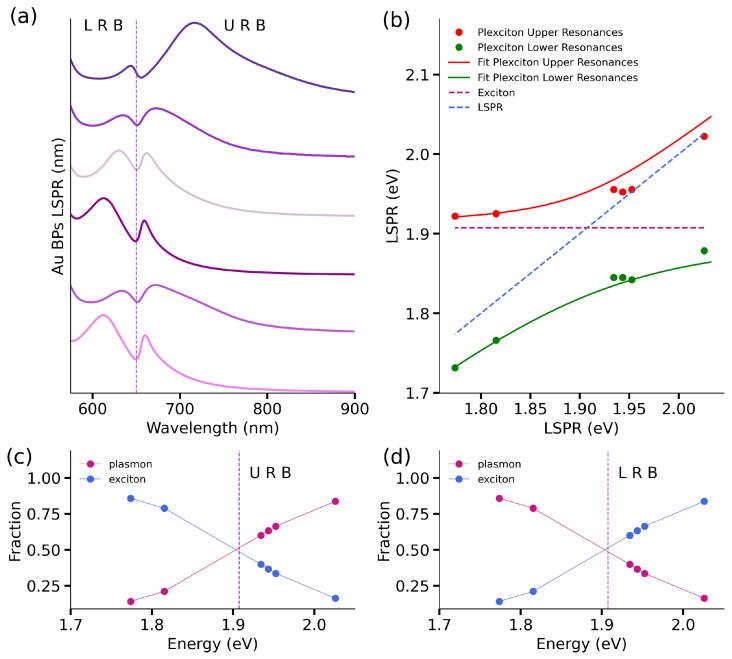 https://cdn.ncbi.nlm.nih.gov/pmc/blobs/e1c3/10780452/32686c358bd3/nanomaterials-14-00035-g003.jpg