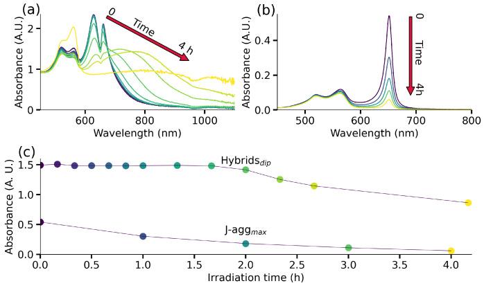 https://cdn.ncbi.nlm.nih.gov/pmc/blobs/e1c3/10780452/bc57447eb11c/nanomaterials-14-00035-g005.jpg