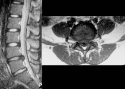 https://cdn.ncbi.nlm.nih.gov/pmc/blobs/e1c3/2852041/6ada180356cc/asj-3-10-g001.jpg