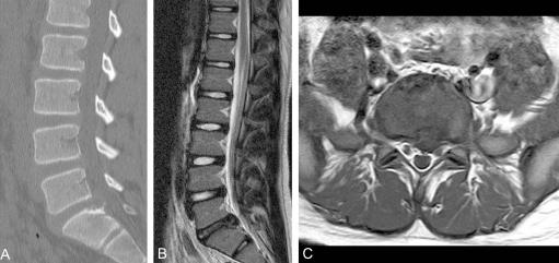 https://cdn.ncbi.nlm.nih.gov/pmc/blobs/e1c3/2852041/88c99a41d64c/asj-3-10-g002.jpg