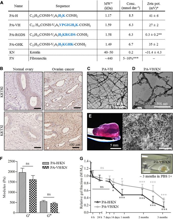 https://cdn.ncbi.nlm.nih.gov/pmc/blobs/e1c4/7852381/c9cfe810da51/abb3298-F2.jpg