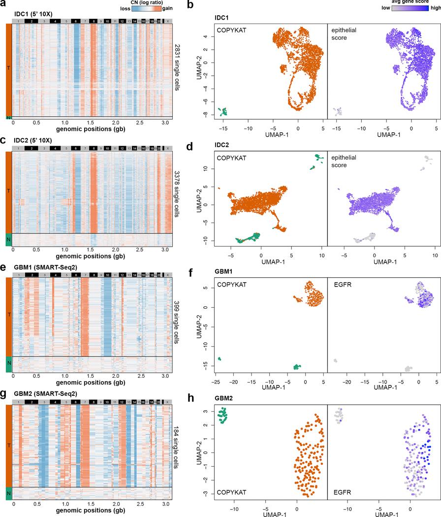 https://cdn.ncbi.nlm.nih.gov/pmc/blobs/e1c5/8122019/2927edeb0e14/nihms-1654346-f0004.jpg
