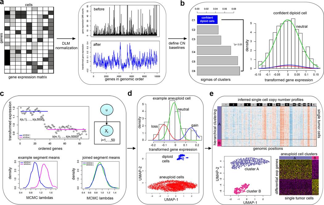 https://cdn.ncbi.nlm.nih.gov/pmc/blobs/e1c5/8122019/8925a6fc285d/nihms-1654346-f0001.jpg
