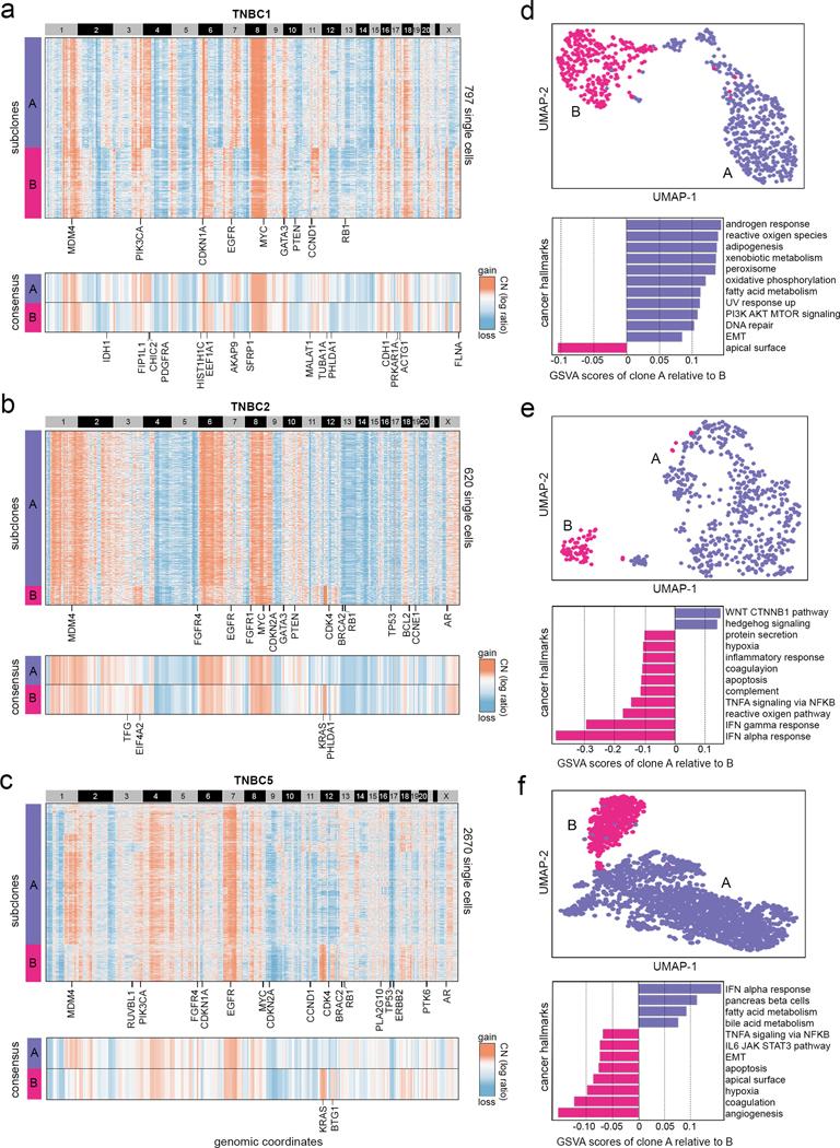 https://cdn.ncbi.nlm.nih.gov/pmc/blobs/e1c5/8122019/9396a8d6a6b9/nihms-1654346-f0005.jpg