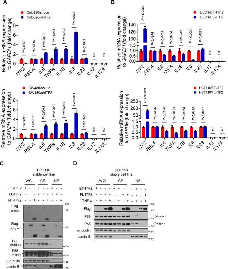 https://cdn.ncbi.nlm.nih.gov/pmc/blobs/e1c7/10130090/0241c16460c1/41467_2023_38080_Fig5_HTML.jpg