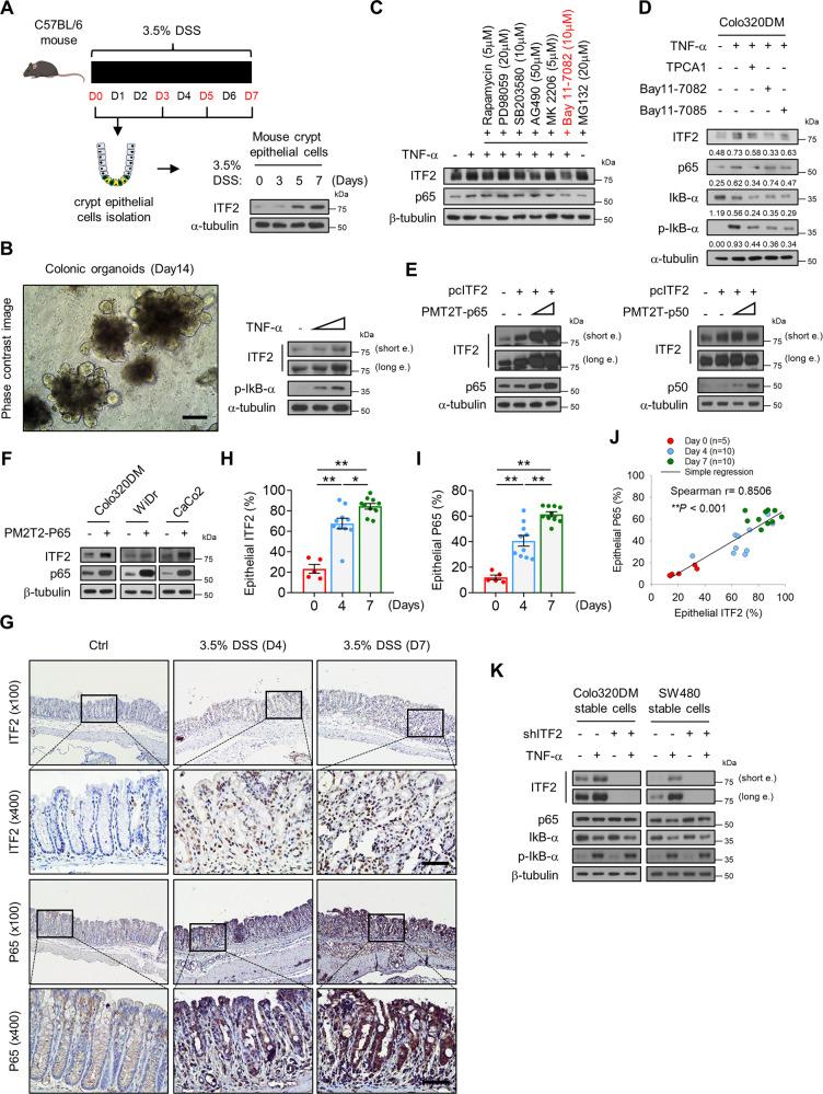 https://cdn.ncbi.nlm.nih.gov/pmc/blobs/e1c7/10130090/0f80e020a134/41467_2023_38080_Fig1_HTML.jpg